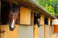 free Wood Norton stable construction quotes